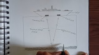 The SONAR technique how to Draw Diagram for the SONAR technique class9science [upl. by Kleeman]