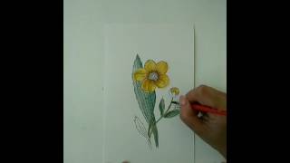 Aquarell für Anfänger Wildblumen malen 2  Watercolor for beginners Wildflowers paintig 2 [upl. by Bricker]