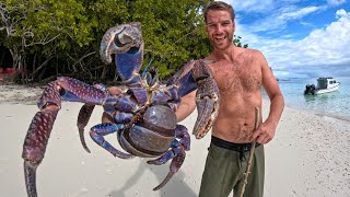 RARE GIANT LAND CRAB Largest In the World [upl. by Klecka860]