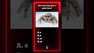 How many legs does a spider have generalknowledge quizchallenge trivia quiz [upl. by Nomla]