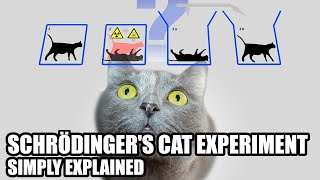 What Is Schrödingers Cat Experiment Simply Explained [upl. by Bergquist]