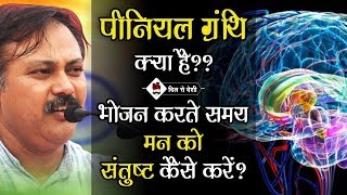 पीनियल ग्रंथि क्या है What is Pineal Gland मन को संतुष्ट करें राजीव दीक्षित [upl. by Essex]