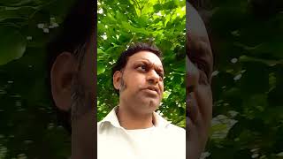 panthi hoon main us path ka Kishor da 🙏 dur kar rahi super hit sad song YouTube short viral video 🌺🌺 [upl. by Lledor941]