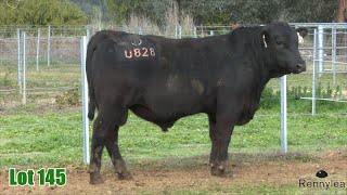 Lot 145 Rennylea NOR23U828 [upl. by Ericka]