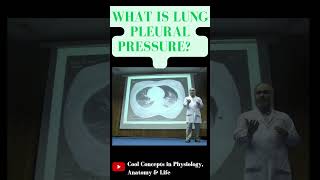 What is Pleural Pressure in lungs 1styearmbbslectures shorts youtubeshorts youtube ytshorts [upl. by Terrijo]