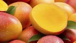 Seedless variety of mango [upl. by Mali]