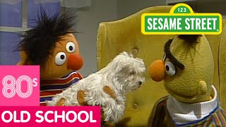 Sesame Street Ernie Surprises Bert with a Puppy [upl. by Haney]