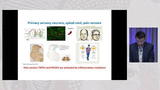 04 Ru Rong Ji Using Omega3 Fatty Acid Molecular Pathways to Block Inflammatory amp Neuropathic Pain [upl. by Baillie]