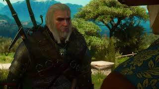 Lets Play The Witcher 3 Die Eroberung des Paradieses Folge 22 [upl. by Yun]