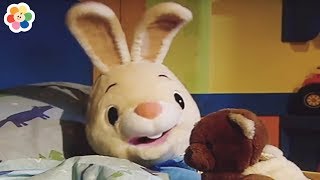 La Routine Matinale Et Nocturne De Harry  Vidéos De Harry Le Lapin Pour Les Enfants [upl. by Ettigdirb371]