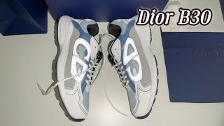 DIOR B30 Sneaker Review [upl. by Kaplan]