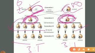 Cytoplasmic Inheritance [upl. by Boyt]