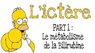 L’ictère de A à Z  Part 1  Le métabolisme de la bilirubine [upl. by Eatnoled]