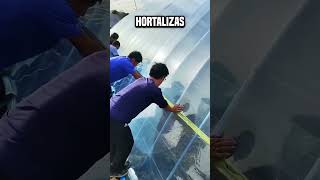 Después de todo ¿por qué los chinos están prendiendo fuego al oleoducto😮 shortsvideo [upl. by Ardyaf961]