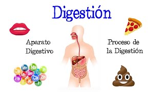 🍎 La Digestión y su Proceso Aparato Digestivo 💩 Fácil y Rápido  BIOLOGÍA [upl. by Ahseat]