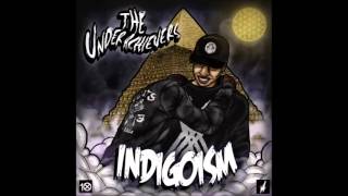 The Underachievers  Philanthropist Indigoism [upl. by Aeki]