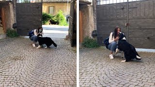 Girl Reunited With Dog After Quarantine [upl. by Ullman]