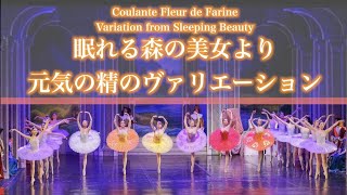 Sleeping Beauty − Coulante Fleur de Farine Variation 海外バレエダンサーによる眠れる森の美女より元気の精のヴァリエーション [upl. by Leonid798]