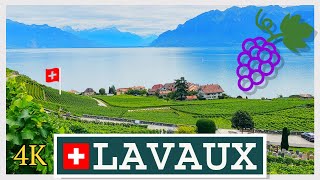 Lavaux Vineyards VD Switzerland 4K [upl. by Roee]