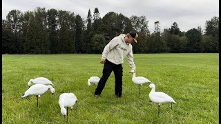 Dive Bomb Full Body Snow Goose Decoy Review [upl. by Adnema]