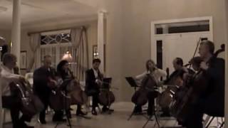 JS Bach  Air on the G String  cello arrangement by DAVID JOHNSTONE [upl. by Nuawd]