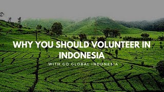 My experience volunteering in Indonesia [upl. by Cailean]