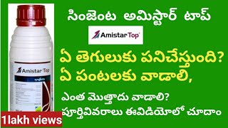 amistar top syngenta fungicide full details in telugu  BB agriculture telugu [upl. by Eninotna]