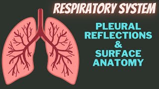 Pleura Anatomy 2 Pleural reflections amp Pleural Recess [upl. by Almeida]