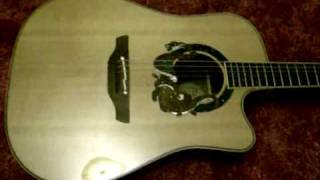 Takamine 2004 Ltd Edition acoustic guitar [upl. by Aciruam]