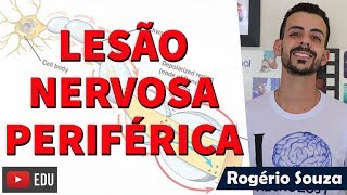 LESÃO NERVOSA PERIFÉRICA Neuropraxia Axonotmese e Neurotmese  Rogério Souza [upl. by Yeltneb]