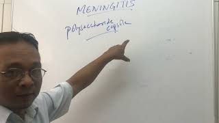 Meningitis causes and pathophysiology [upl. by Hareemas]