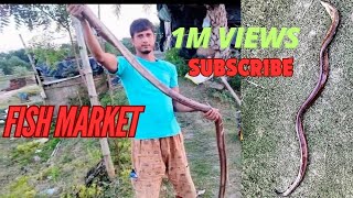 সাতহেতে ও কূচে মাছ কাটার পদ্ধতি  Method of cutting fish Sat Hete and Kuche 2024 indiavideo vlog [upl. by Brotherson]