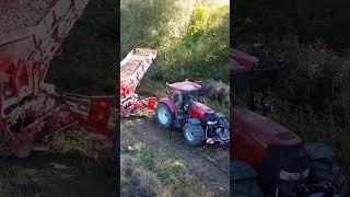 Case IH Puma 175  Grimme SE 260 amp MXU 135  Pronar T 026 caseihagriculture farming agriculture [upl. by Anayik]