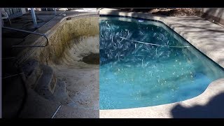 CDC Pools Remodel in Chandler Arizona 2019 4K [upl. by Annoyt394]