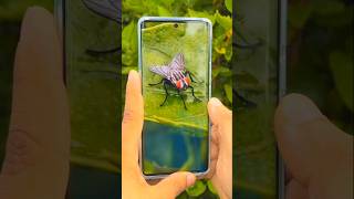 Vivo V40 Pro camera test 😱 vivov40pro cameratest Surajtechnolgy [upl. by Eityak]