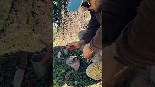 Tin Can Survival Stove in 2 mins Bushcraft for Survival survival abhinavshukla camping [upl. by Colwen]