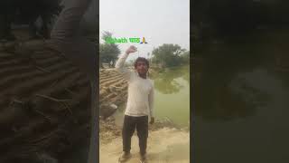 Bina shadi ke  chhath ghath 🙏🙏viwes trending🙏🙏 viral  reels [upl. by Cassiani896]