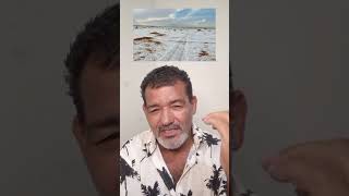 Neve no Deserto Árabe viralvideo trending trendingvideo trendingviral viraliza deserto [upl. by Elyrrad417]