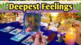 🍁🌿Deepest Feelings Next Action With Angel Guidance 🌿🍁All Signs Collective Timeless Tarot🌈 [upl. by Sathrum]