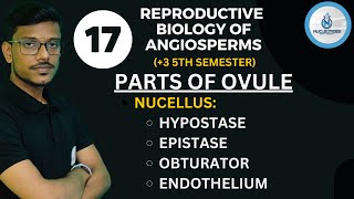 HYPOSTASE EPISTASE OBTURATOR ENDOTHELIUM Reproductivebiology ofangiosperms17 3 5TH SEMESTER [upl. by Aisyla]