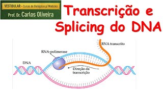 transcrição e splicing do DNA [upl. by Larrisa]