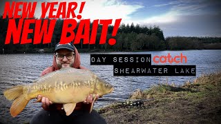 New Year New Bait  Shearwater Lake Winter Carping Day Session  Martyns Angling Adventures [upl. by Schroder]