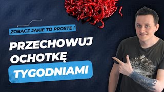 Ochotka haczykowa  jak skutecznie przechowywać [upl. by Boggs971]