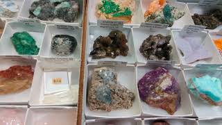 Tampa Gem and mineral show November 2024 [upl. by Adnaw]