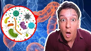 Your Gut Microbiome 3 Facts that will BLOW your Mind [upl. by Aihtenak]