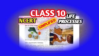 Life Processes💥Class 10  Autotrophic nutrition NCERT  CBSE  Simplified [upl. by Dietsche]