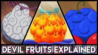 Explaining Devil Fruits  Everything You Need To Know  One Piece Explained [upl. by Chenee]