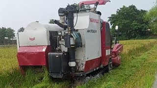 YANMAR HARVESTER paddy cutting in water 🌊 [upl. by Kristo]