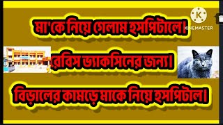 মাকে বিড়ালে কামড়ানোর জন্য ভ্যাকসিন নিতে হসপিটালে।Indadul villagecathospital vaccine bite [upl. by Pogah]