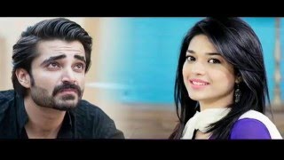 Top 10 drama serials SANAM JUNG [upl. by Ayaet]